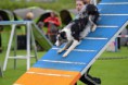 /album/fotogallerij/gorinhem-05-05-5-jpg/